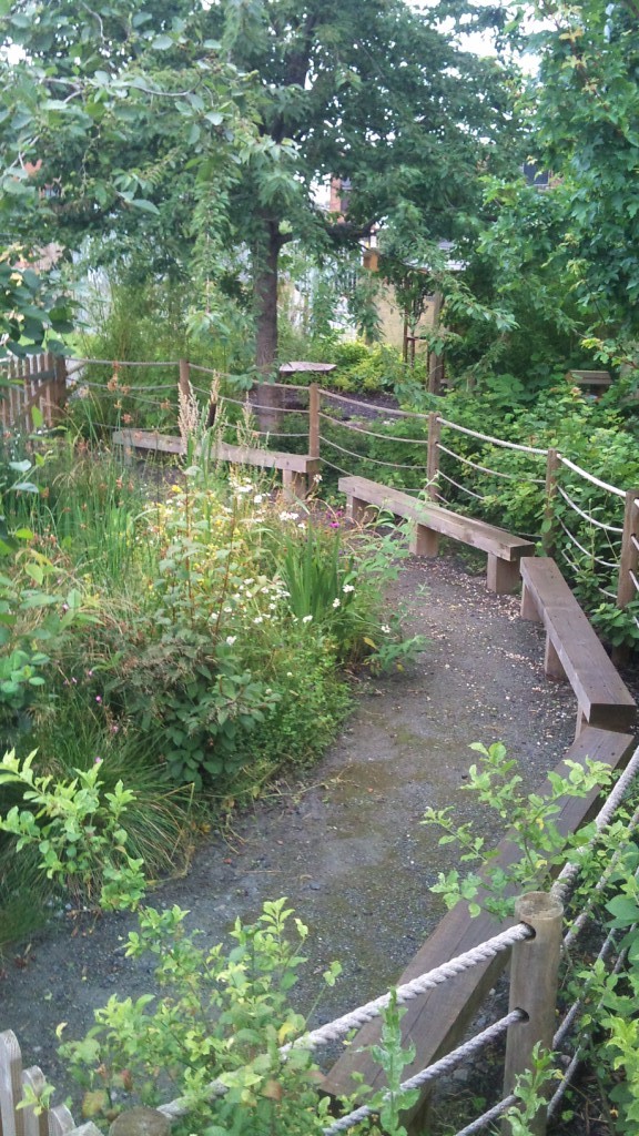 View into the Northbury wildlife pond